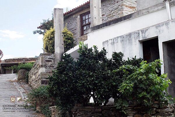Quinta no Douro Vinhateiro. Quintas