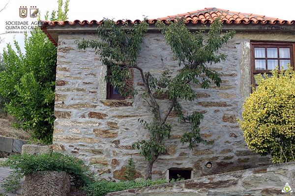 Quinta no Douro Vinhateiro. Quintas