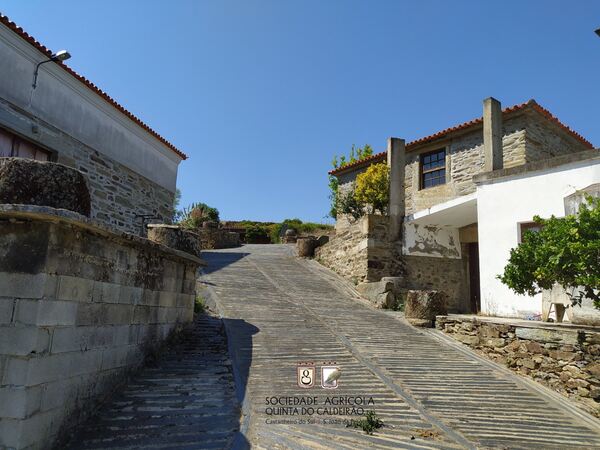 Quinta no Douro Vinhateiro. Quintas