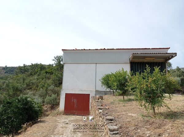 Quinta no Douro Vinhateiro. Quintas