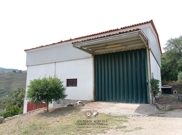 Quinta no Douro Vinhateiro. Quintas