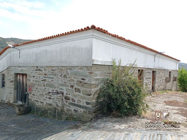 Quinta no Douro Vinhateiro. Quintas