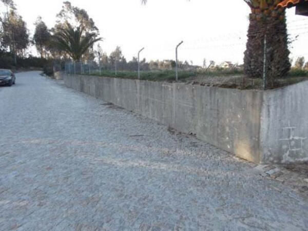 Terreno Rústico. Terreno Rústico