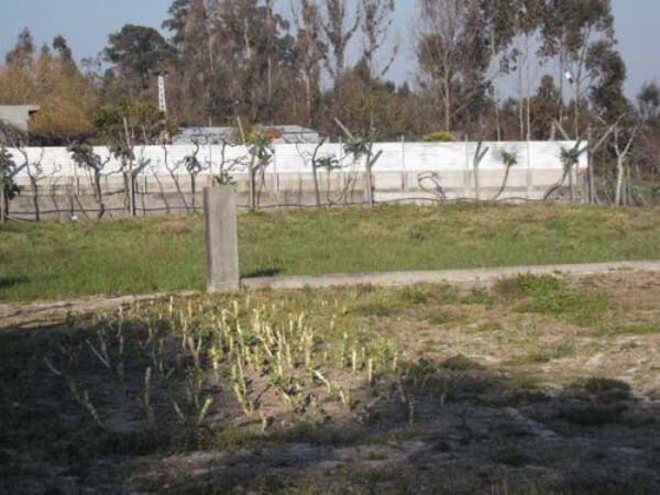 Terreno Rústico. Terreno Rústico