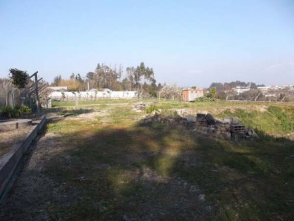 Terreno Rústico. Terreno Rústico