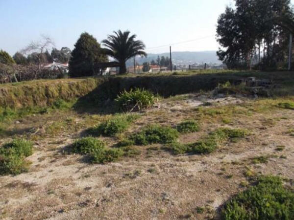 Terreno Rústico. Terreno Rústico