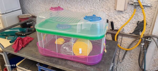 Gaiola para Hamsters. Roedores