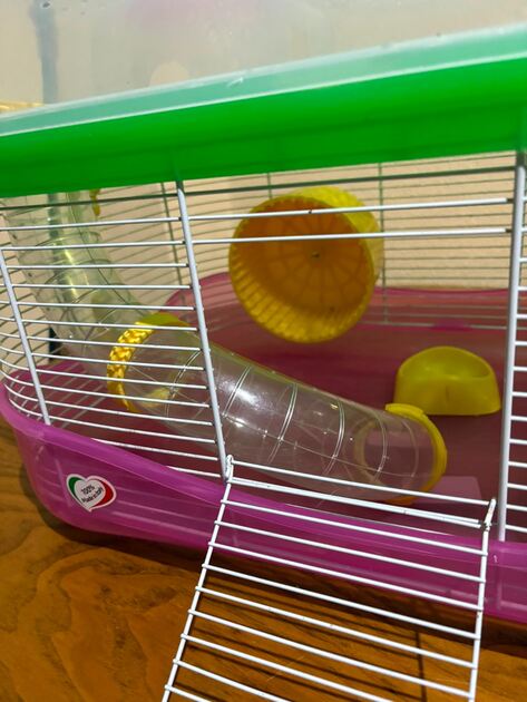 Gaiola para Hamsters. Roedores