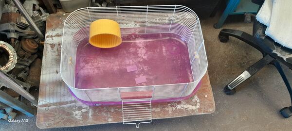 Gaiola para Hamsters. Roedores