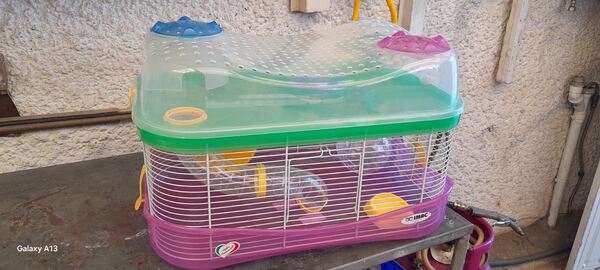 Gaiola para Hamsters. Roedores