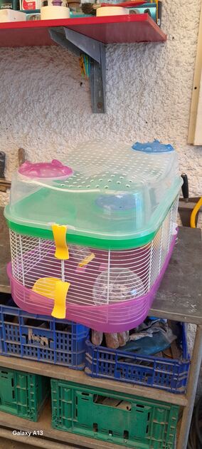 Gaiola para Hamsters. Roedores