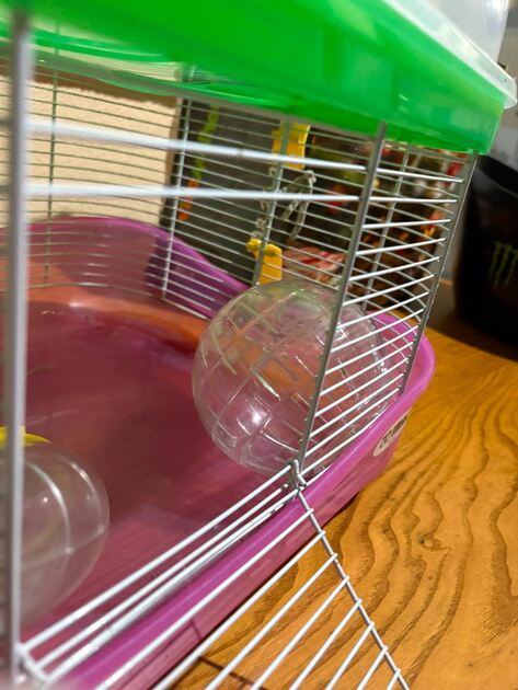 Gaiola para Hamsters. Roedores