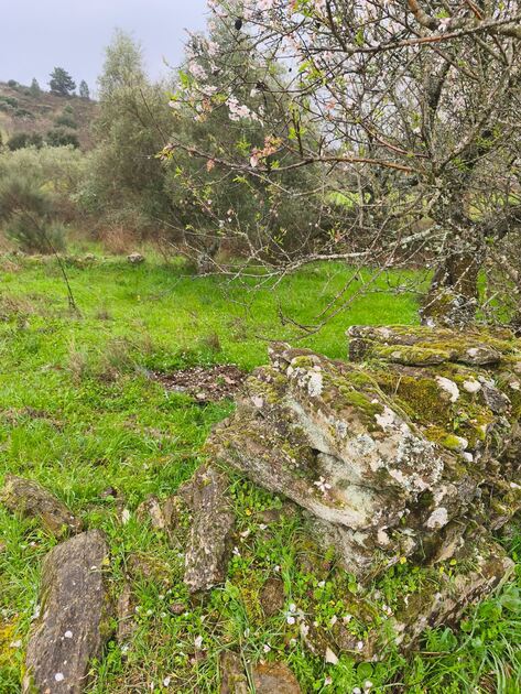 Terreno rústico em Moncorvo . Terreno Rústico