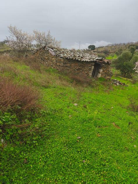 Terreno rústico em Moncorvo . Terreno Rústico
