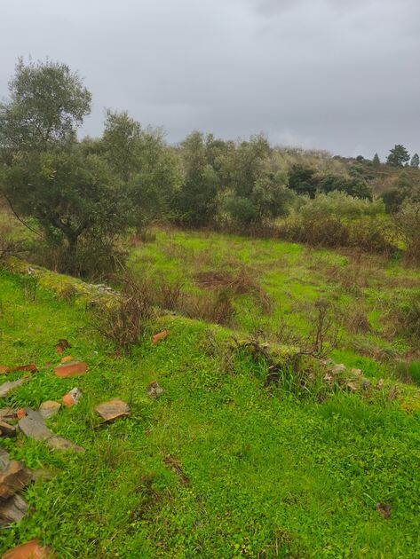Terreno rústico em Moncorvo . Terreno Rústico