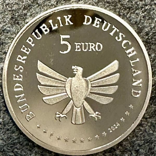 O Maravilhoso Mundo dos Insetos - Escaravelho. Moedas