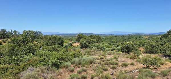 Land for sale in Penamacor, Salvador - PORTUGAL. Terreno Rústico