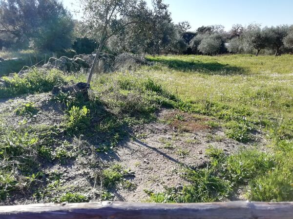 Land for sale in Penamacor, Salvador - PORTUGAL. Terreno Rústico