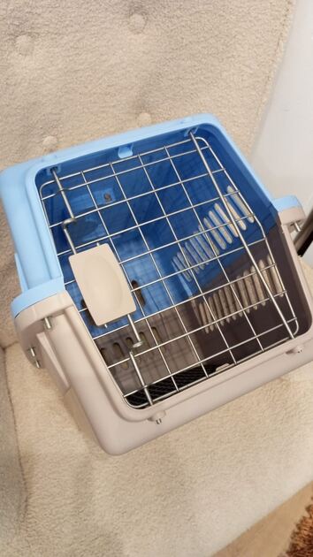 Box transporte de animais Azul. Transportadoras para animais