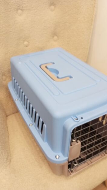 Box transporte de animais Azul. Transportadoras para animais