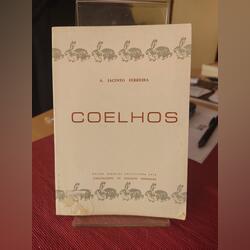 Livro “Coelhos”. Livros. Matosinhos.     