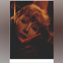 Poster / Picture Greta Garbo. Artistas e Músicos. Figueira da Foz