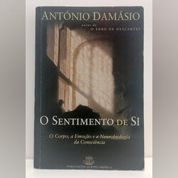 Livro - O Sentimento de Si. Livros