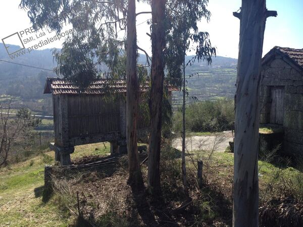 Lotes para construção em Campelo / Baião (2548 / ). Lote