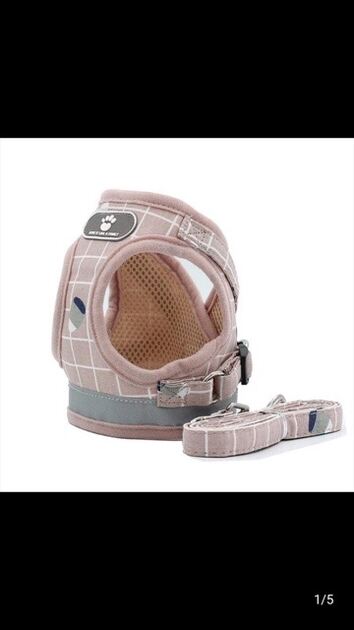 peitoral cão, gato . Cães