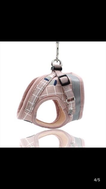 peitoral cão, gato . Cães