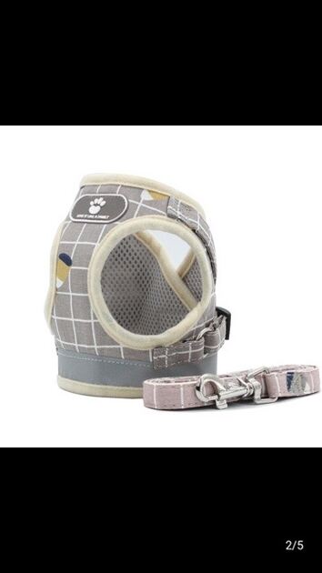 peitoral cão, gato . Cães