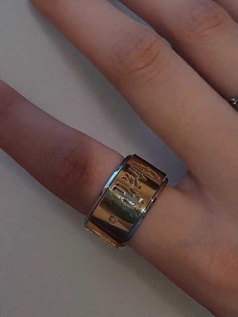💍 Anel Giratório Dourado e Prateado Família. Anéis