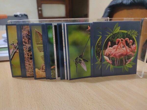 Cromos Mundo animal 2024. Cromos