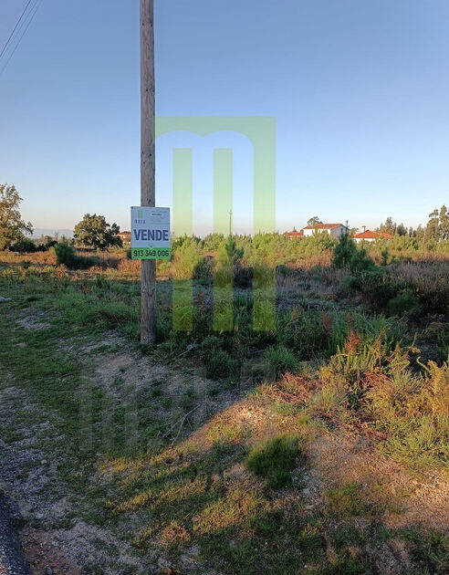 Lote de terreno para construção em Andorinha. Lote