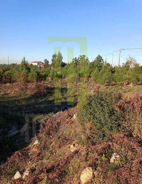 Lote de terreno para construção em Andorinha. Lote