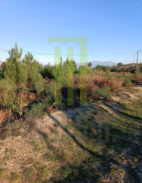 Lote de terreno para construção em Andorinha. Lote