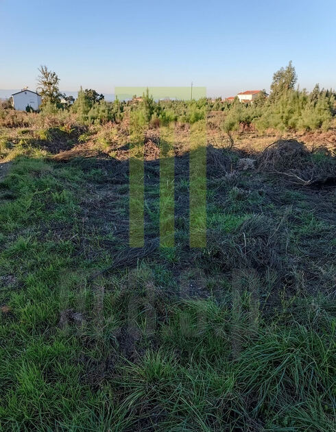 Lote de terreno para construção em Andorinha. Lote