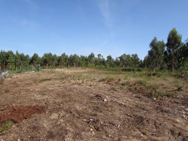 Terreno para construção em Vila Chã / Esposende (2. Terreno Rústico