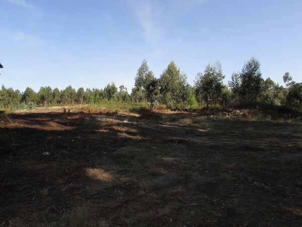 Terreno para construção em Vila Chã / Esposende (2. Terreno Rústico