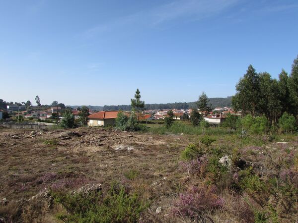 Terreno para construção em Vila Chã / Esposende (2. Terreno Rústico