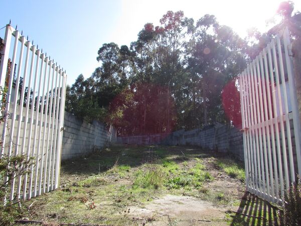 Terreno para construção em Vila Chã / Esposende (2. Terreno Rústico