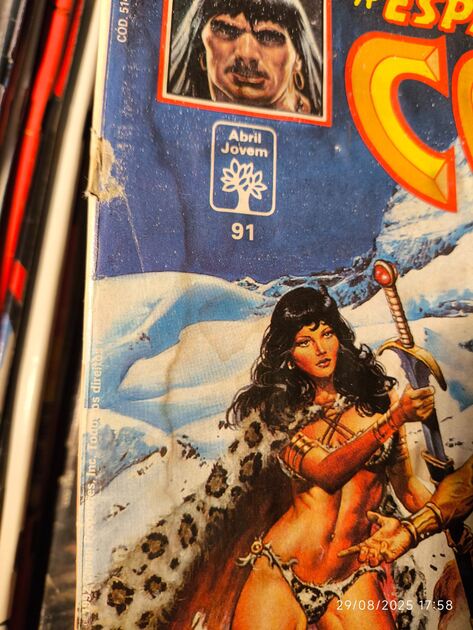 A Espada Selvagem de Conan (77 vols). Livros