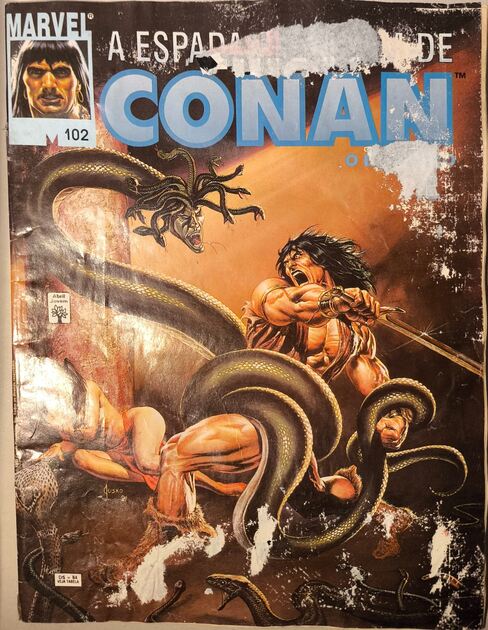 A Espada Selvagem de Conan (77 vols). Livros