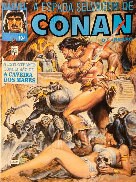 A Espada Selvagem de Conan (77 vols). Livros