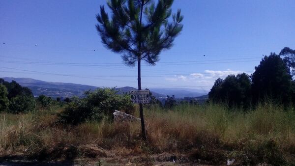 Terreno Rústico - Vila Cova, Penafiel. Terreno Rústico