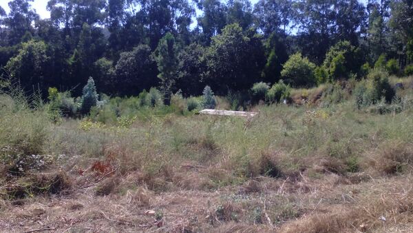 Terreno Rústico - Vila Cova, Penafiel. Terreno Rústico