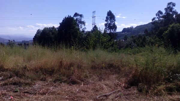 Terreno Rústico - Vila Cova, Penafiel. Terreno Rústico