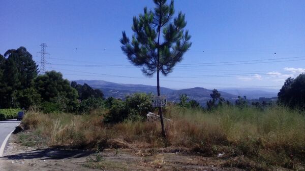 Terreno Rústico - Vila Cova, Penafiel. Terreno Rústico