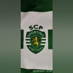 Camisola Sporting clube de Portugal . Camisolas futebol. Alcochete. XL / 42 / 14     Verde Aceitável