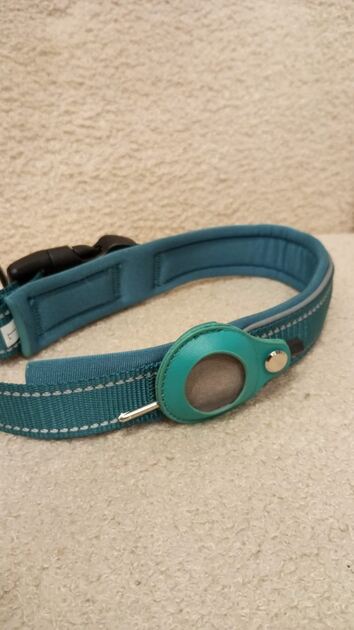 Coleira Verde c/local para localizador - Nova. Camas para animais de estimação